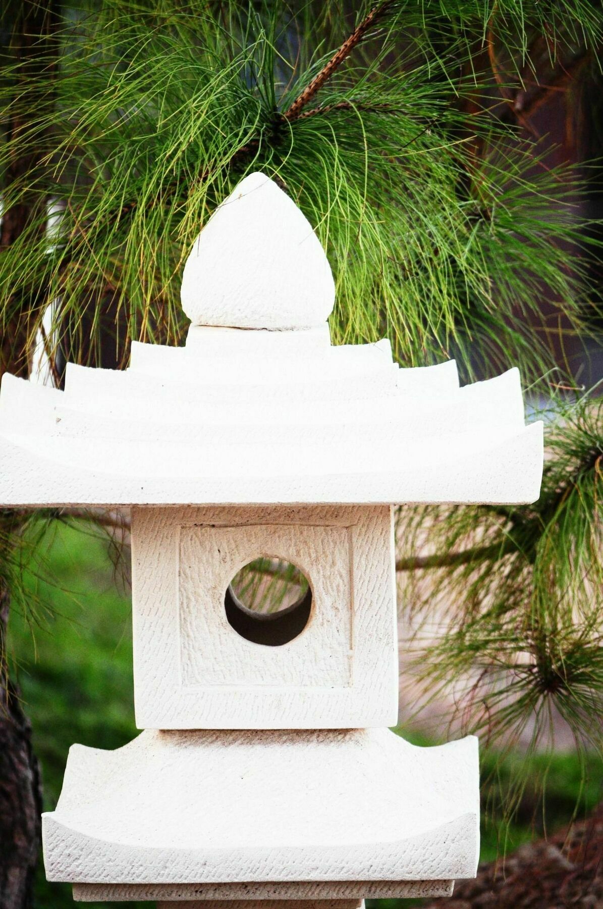 Zen Home Resort & Garden @ Phayao Ngoại thất bức ảnh